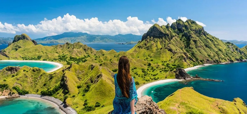 study in Indonesia consultants